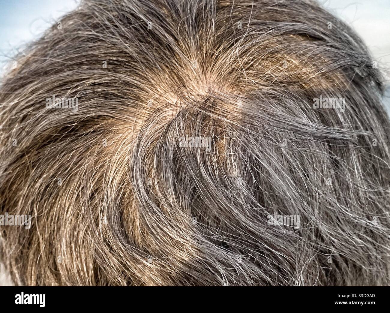 Close up of grey hair swirl Stock Photo
