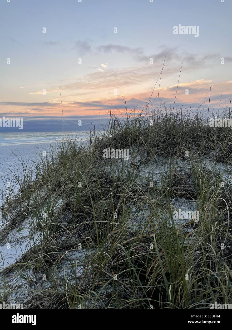 Winter dune grass with beach sunset skies - Smartphone Captured Stock Image