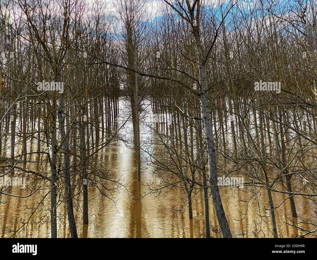 The Dropt river in flood, Stock Photo