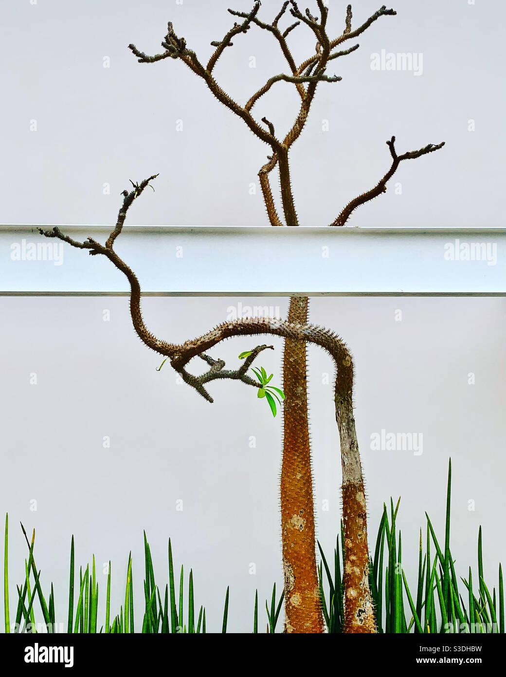 Fragments - Smartphone Captured Stock Image