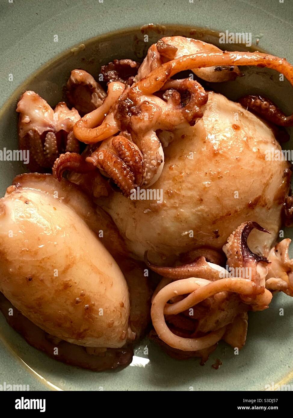 Cooked Cuttlefish Stock Photo