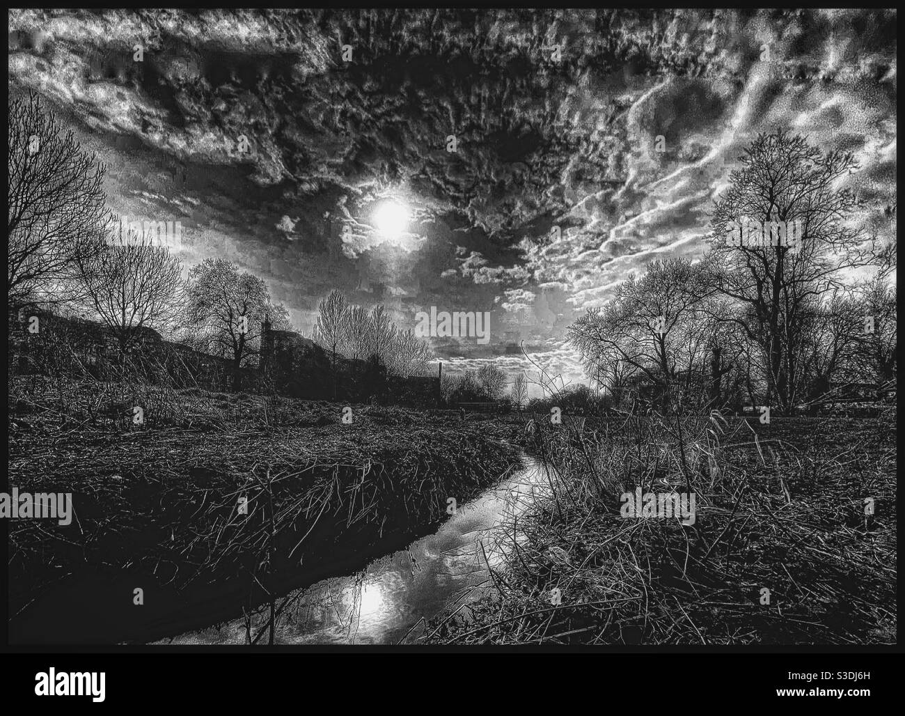 Landscape - Smartphone Captured Stock Image