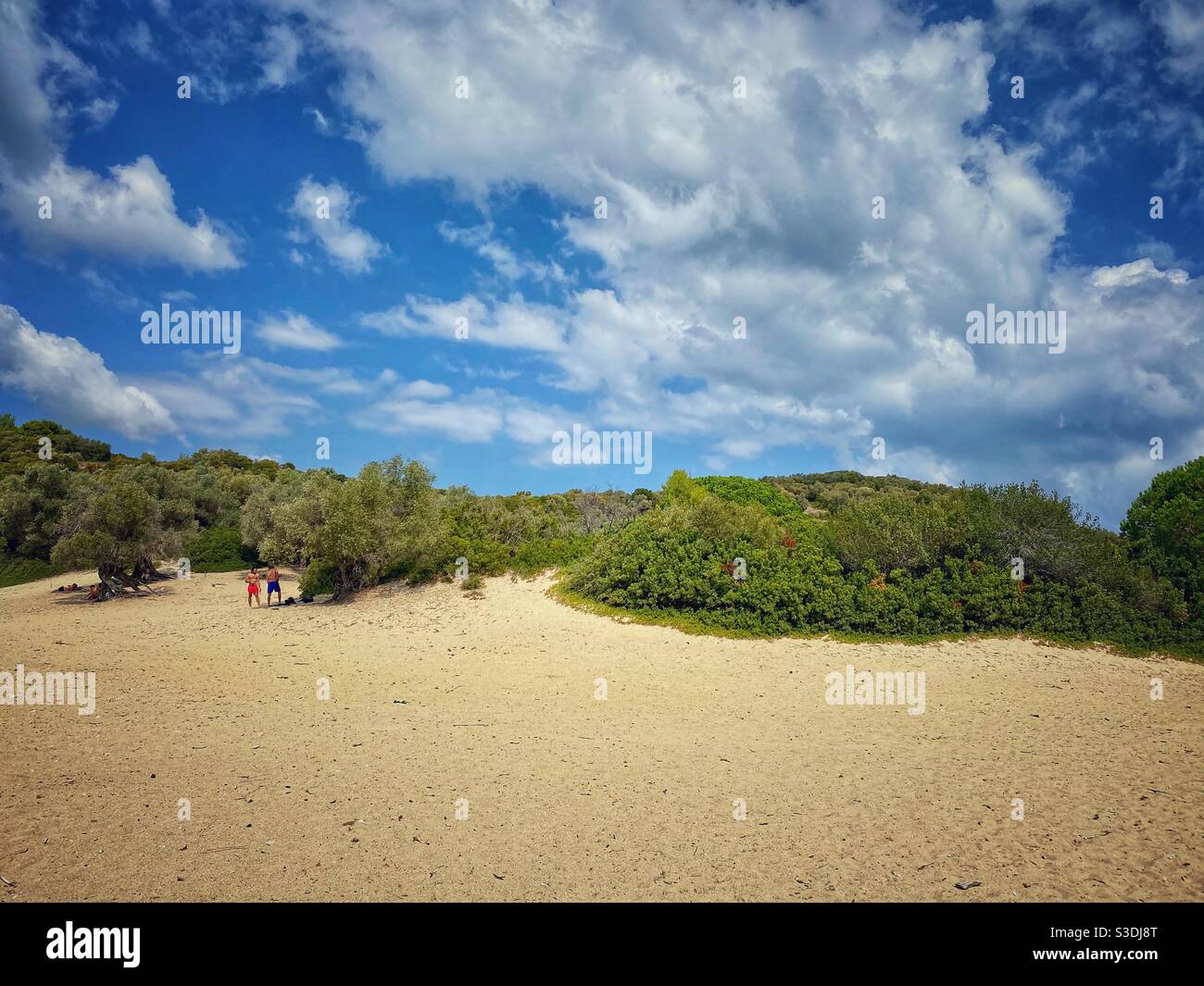 Sandy beach with green vegetation at uninhabited Tsougrias island near Skiathos in Greece. - Smartphone Captured Stock Image