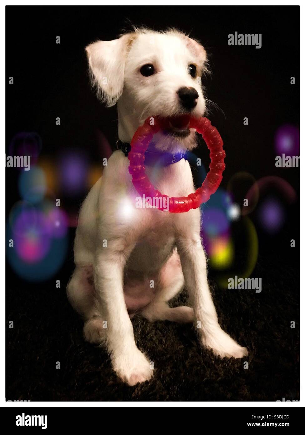 Teething ring hires stock photography and images Alamy