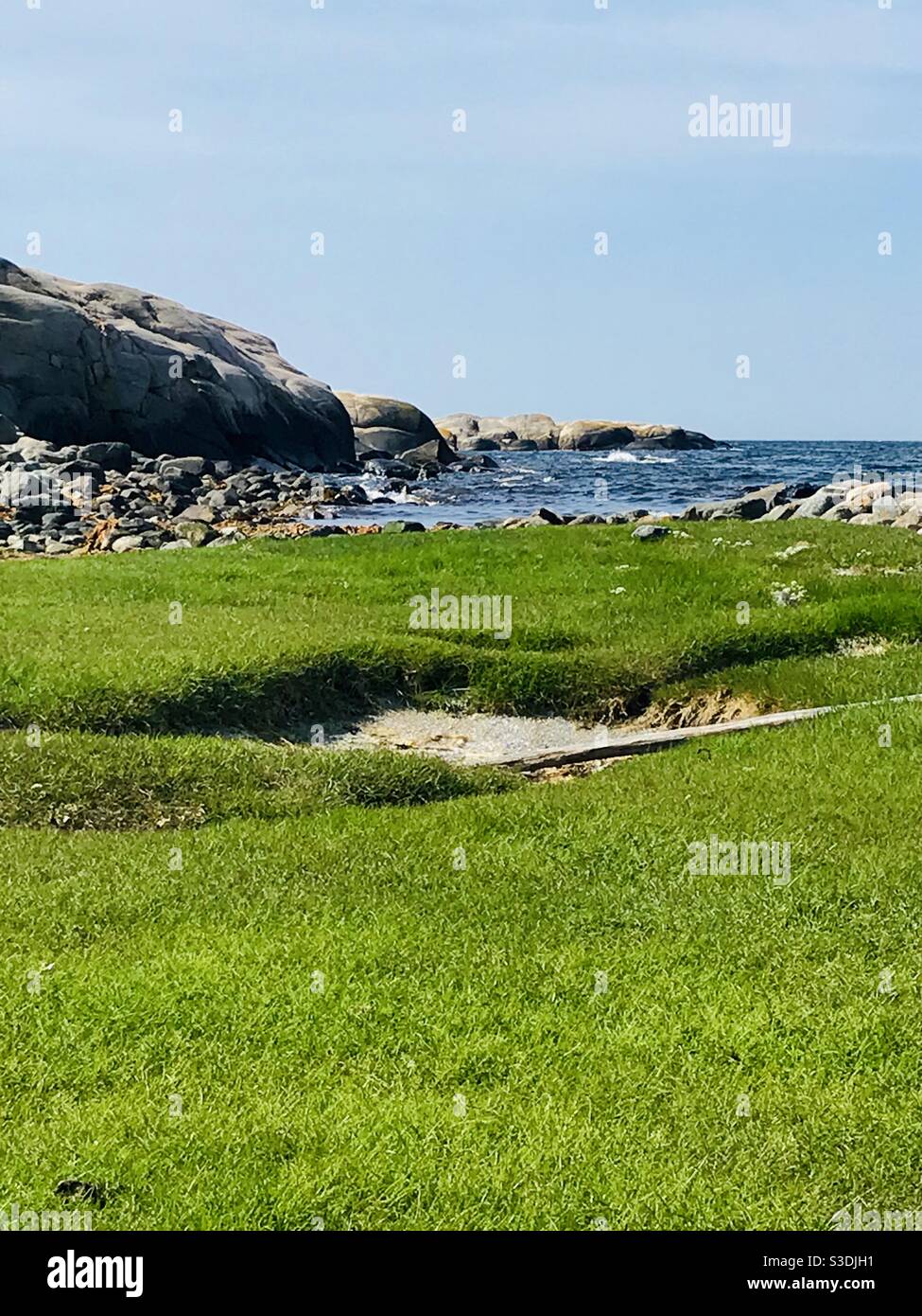 Green Grass At Ocean Hi res Stock Photography And Images Alamy green-grass-at-ocean-hi-res-stock-photography-and-images-alamy