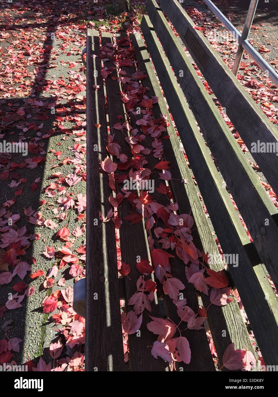 Romantic autumn bench Stock Photo