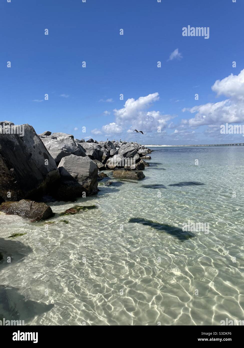 Rocky jetties with pelicans over the Gulf of Mexico Florida - Smartphone Captured Stock Image