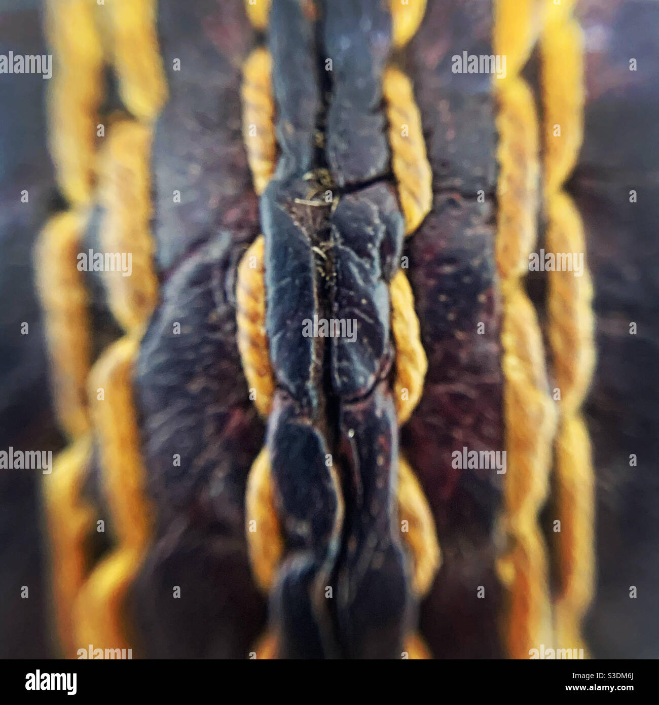 Cricket ball stitching Stock Photo Alamy