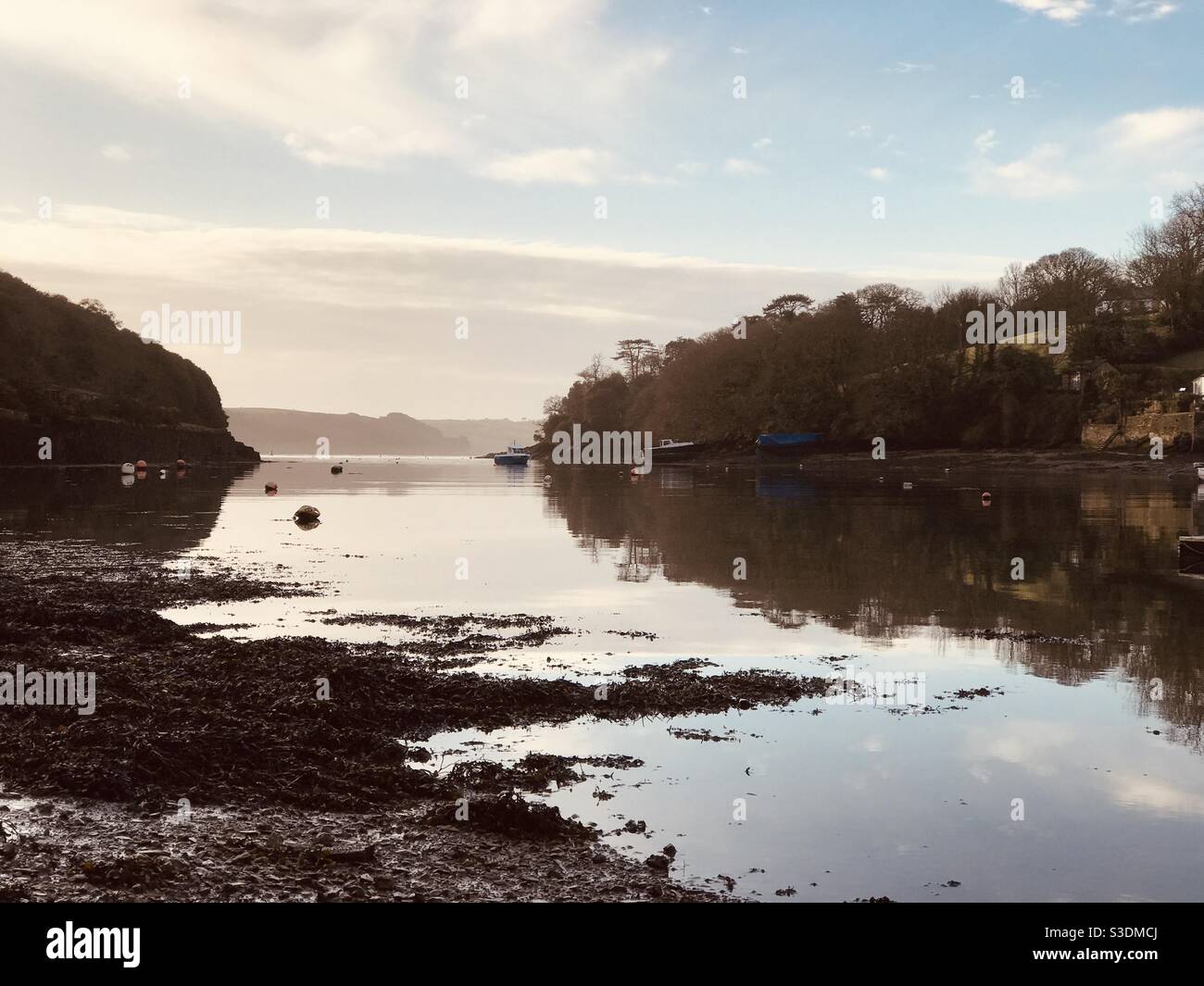 Pill Creek One February Morning - Smartphone Captured Stock Image