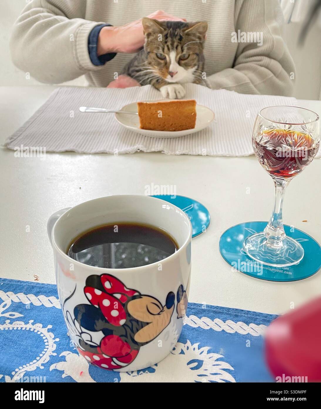 Kitten at the table. - Smartphone Captured Stock Image