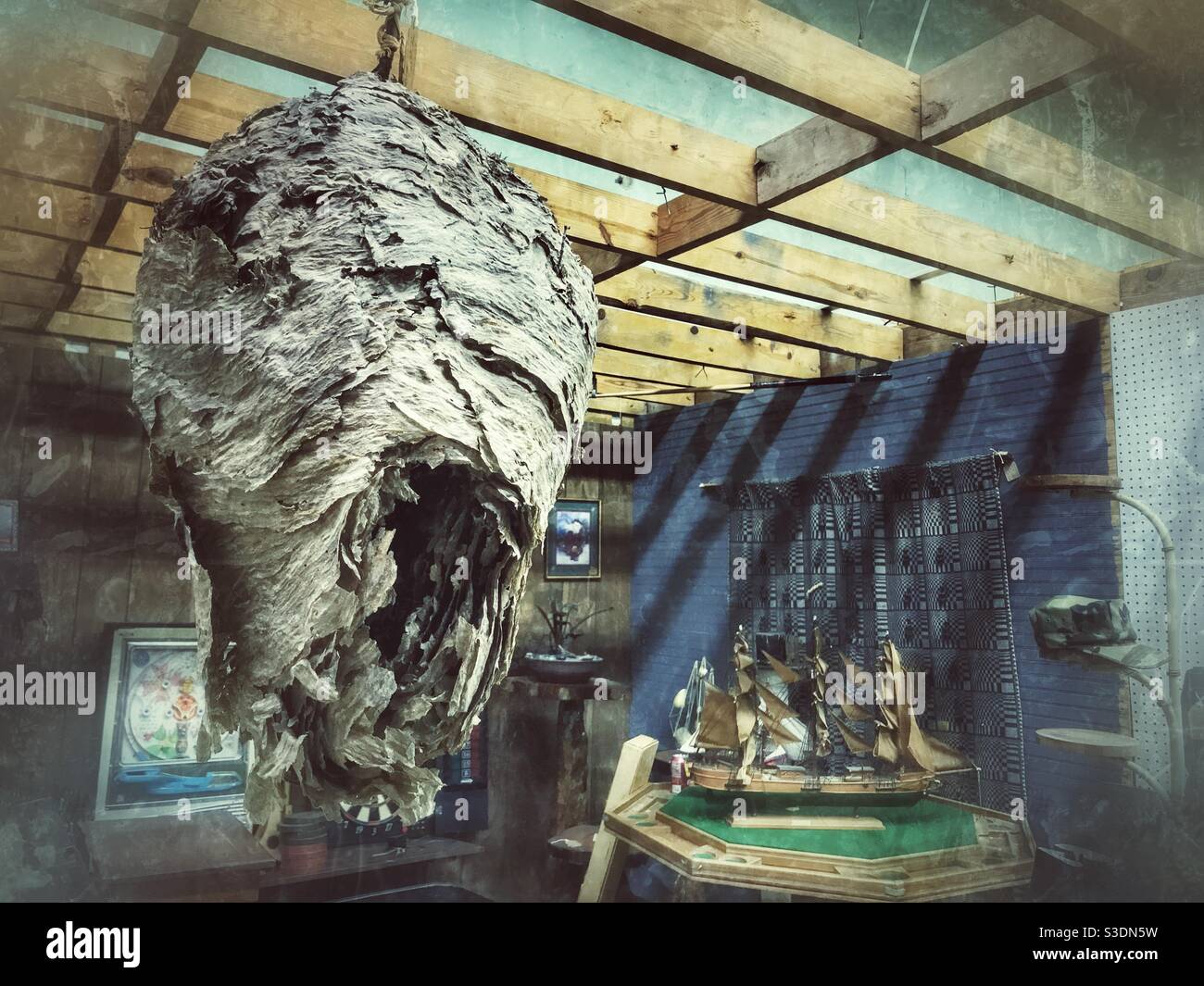 Huge hornet’s nest displayed inside antique mall - Smartphone Captured Stock Image