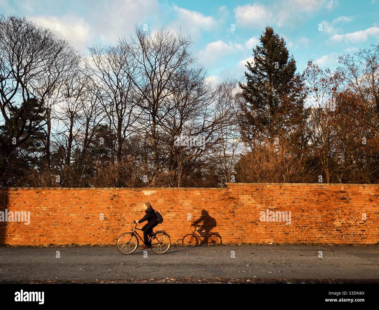 A Woman biking in front of a brick Wall on Tempelhof Airport in the afternoon in winter, Berlin, Germany - Smartphone Captured Stock Image