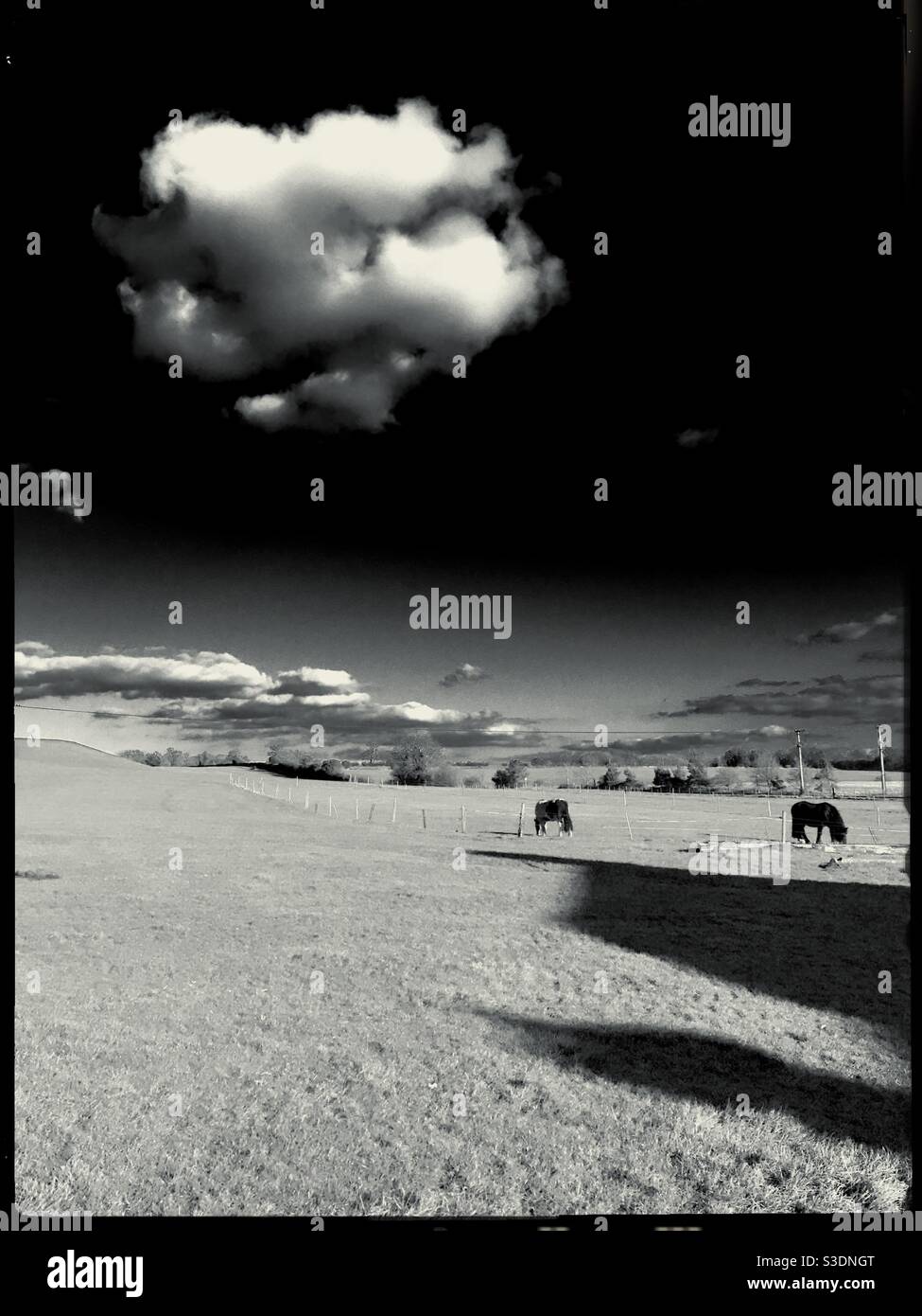 Pastoral scene in Lincolnshire, UK. - Smartphone Captured Stock Image