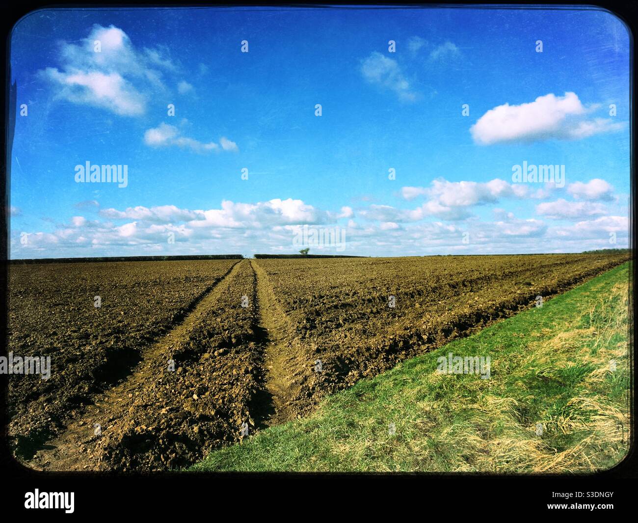 Tractor tracks over a ploughed field. Lincolnshire, UK. - Smartphone Captured Stock Image