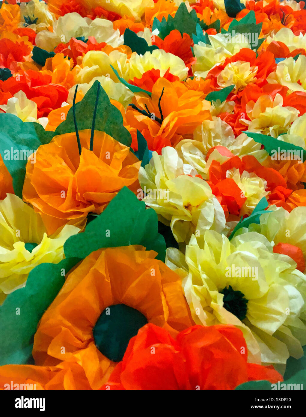 Coloured paper flowers hi-res stock photography and images - Alamy