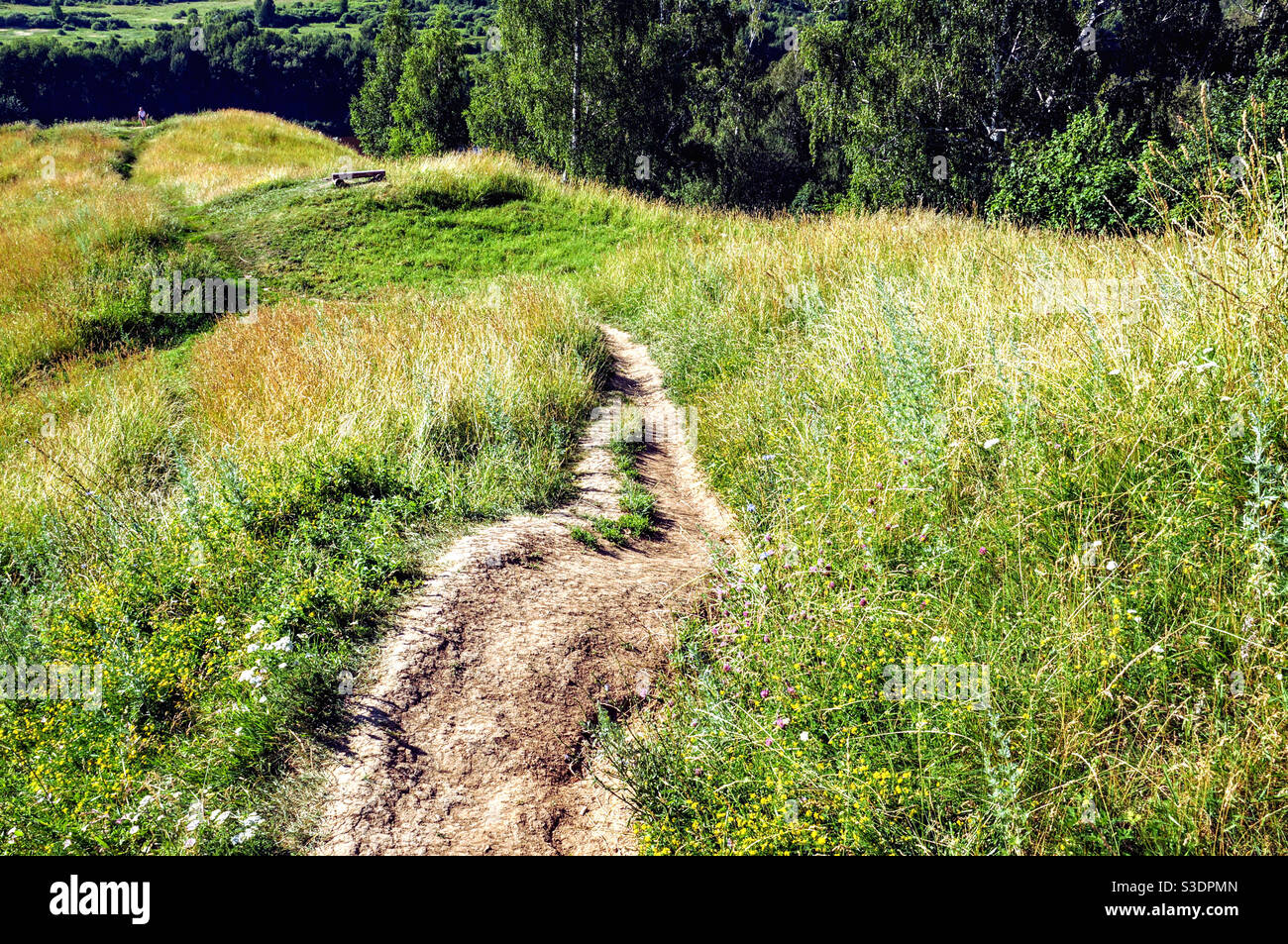 Field landscape with dirt road - Smartphone Captured Stock Image