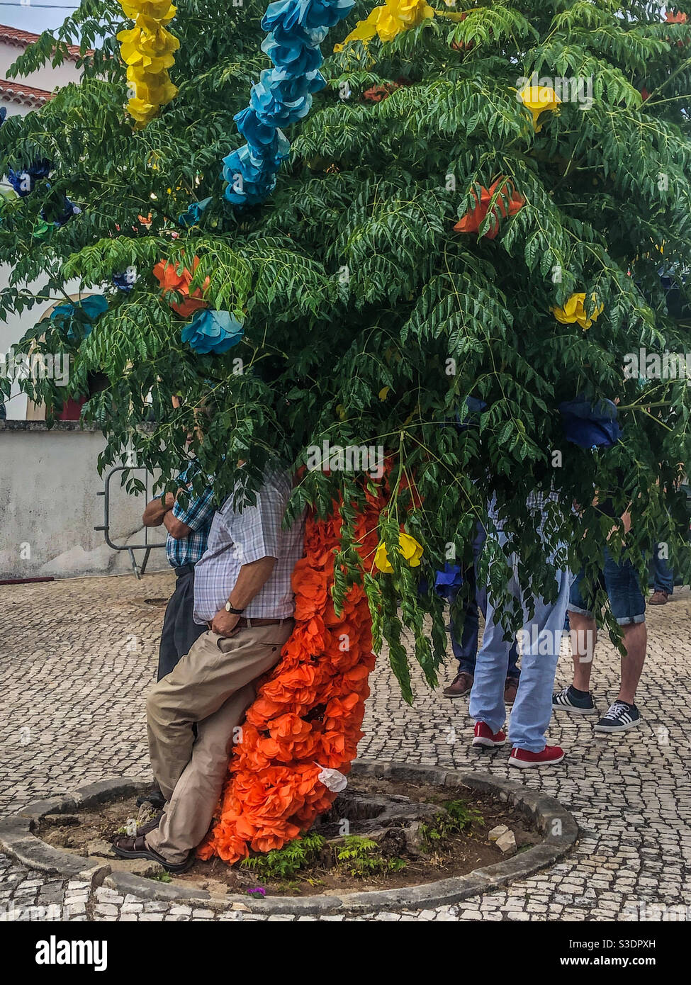 Tree Hair - Some people take shade under a decorated tree at a Portuguese village festa - 2019 - Smartphone Captured Stock Image