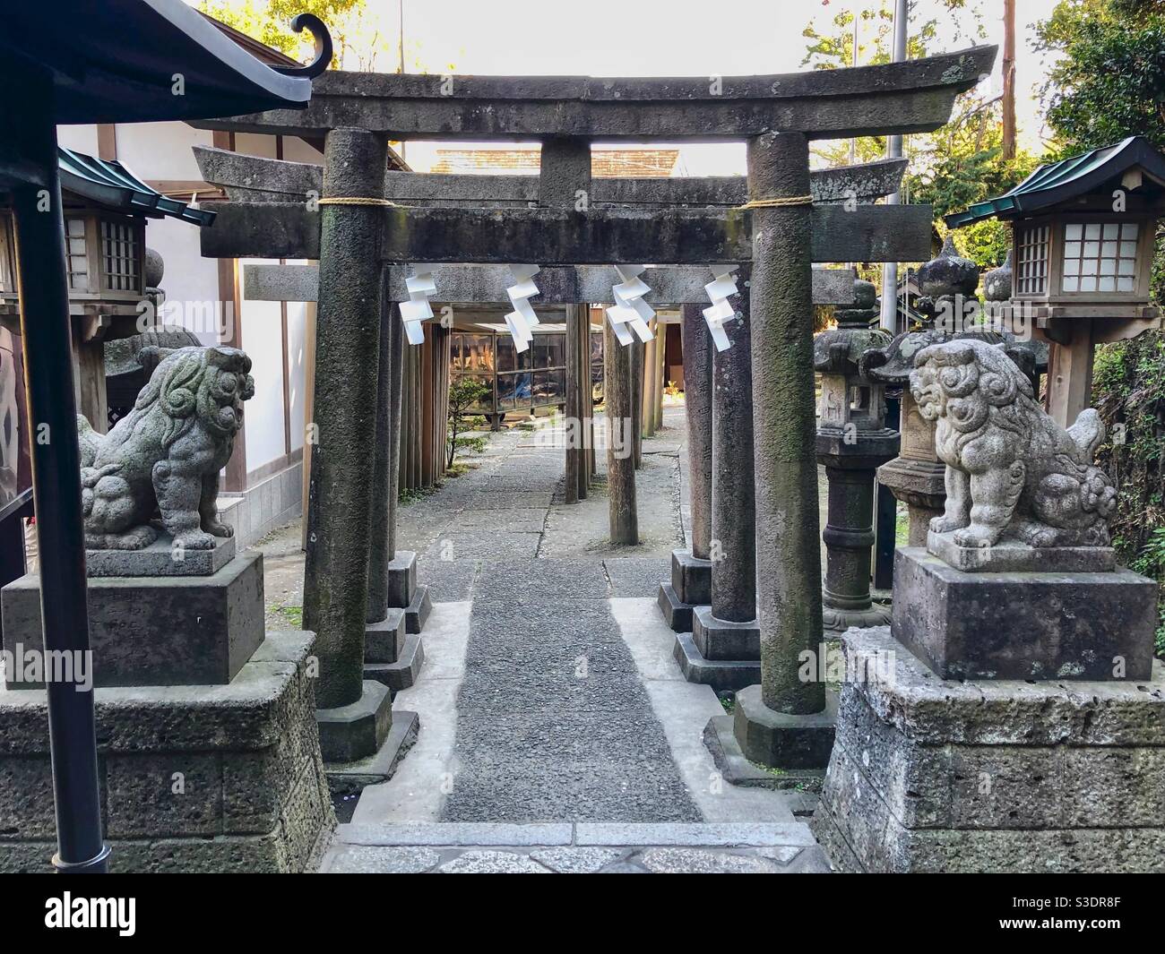Stone torii gates, lanterns and komainu animal statues leading to Benzaiten shinto shrine in Kamakura, Japan. - Smartphone Captured Stock Image