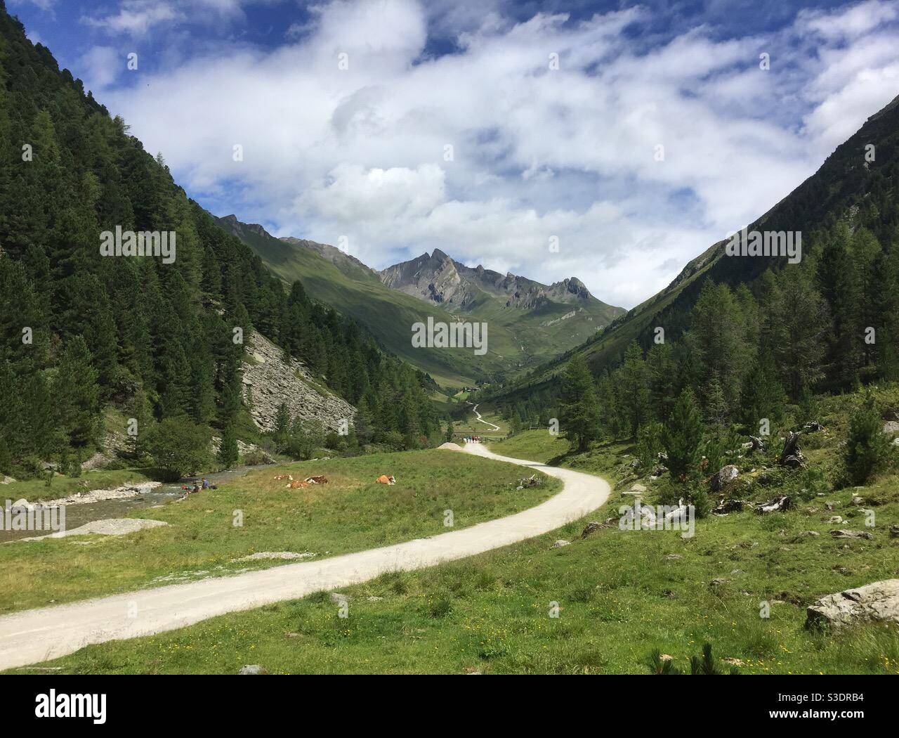 Valley walk in the Dolomites, Sud-Tirol, Italy - Smartphone Captured Stock Image