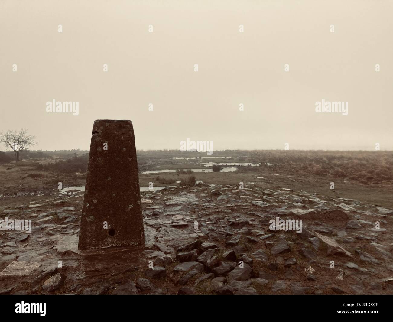 Trig point, Black Down, North Somerset in the winter Stock Photo