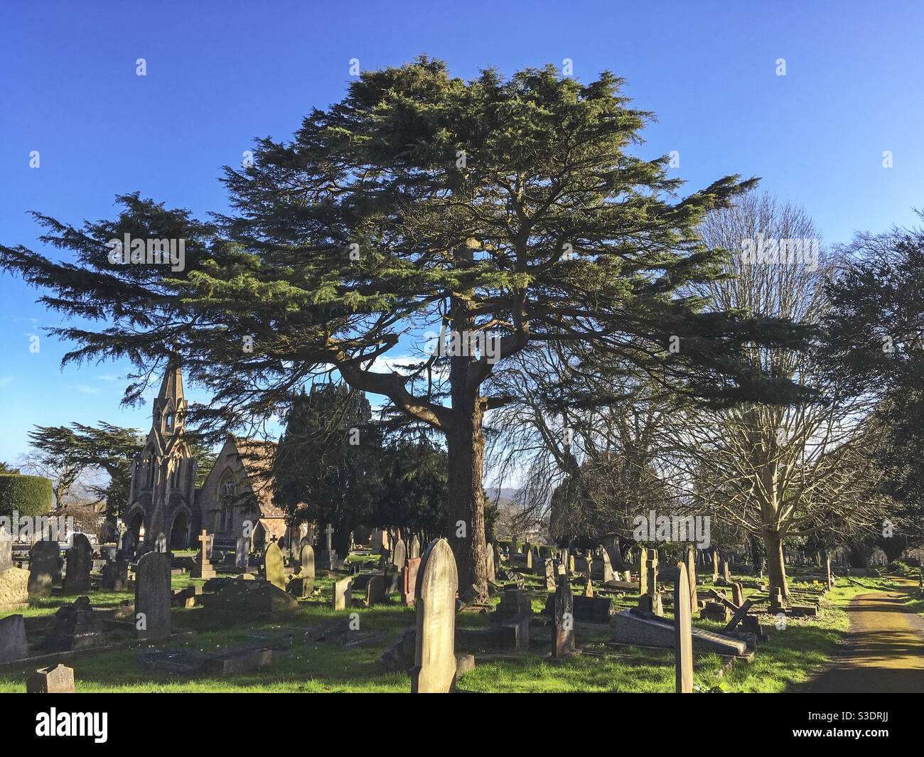 Milton Road Cemetery in WestonsuperMare, UK Stock Photo Alamy