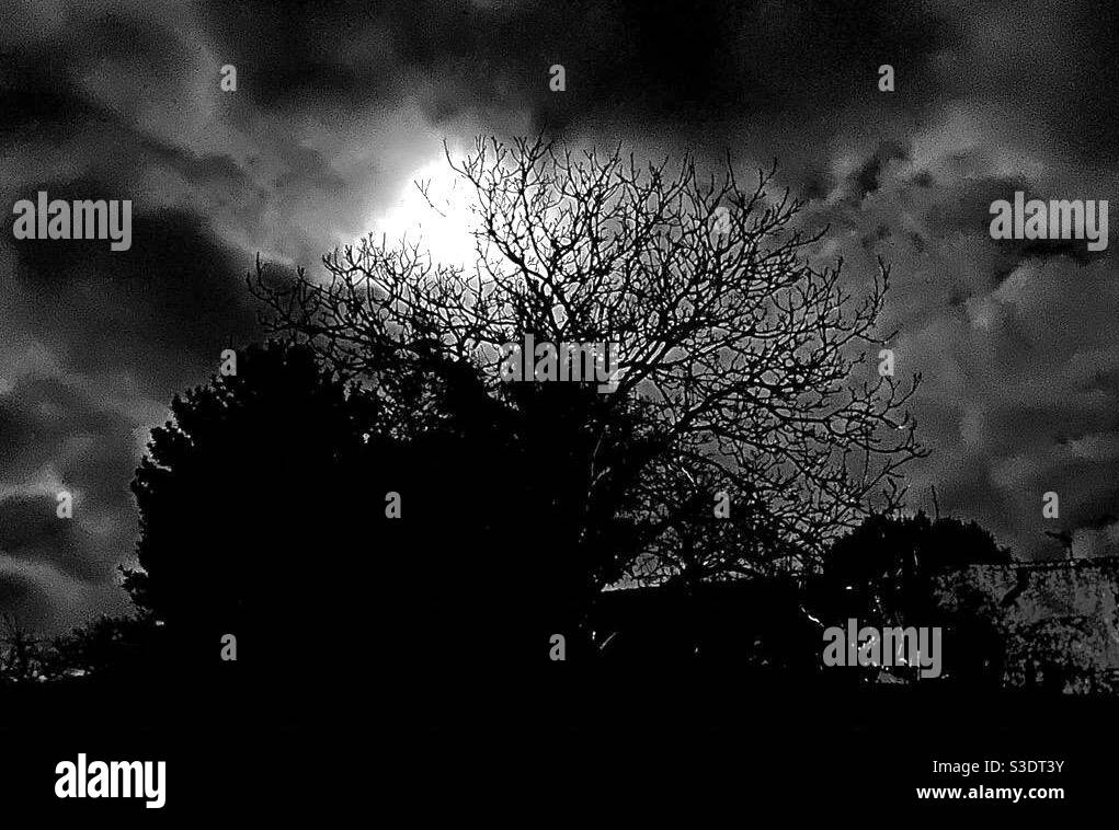 Moonlit night sky - Smartphone Captured Stock Image