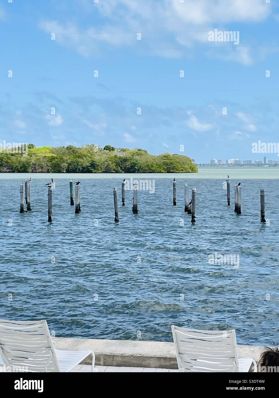 Birds rest on ocean pilings in blue water overlooking a small tropical island surrounded by lighter jade-colored water with Miami Beach buildings in the background, Florida, USA - Smartphone Captured Stock Image
