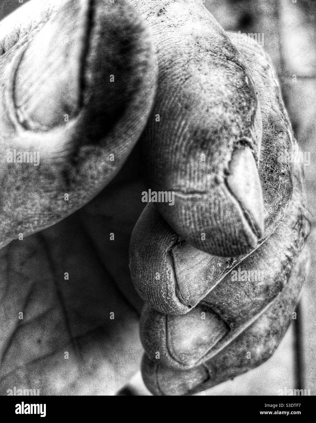 Calloused hands hi-res stock photography and images - Alamy