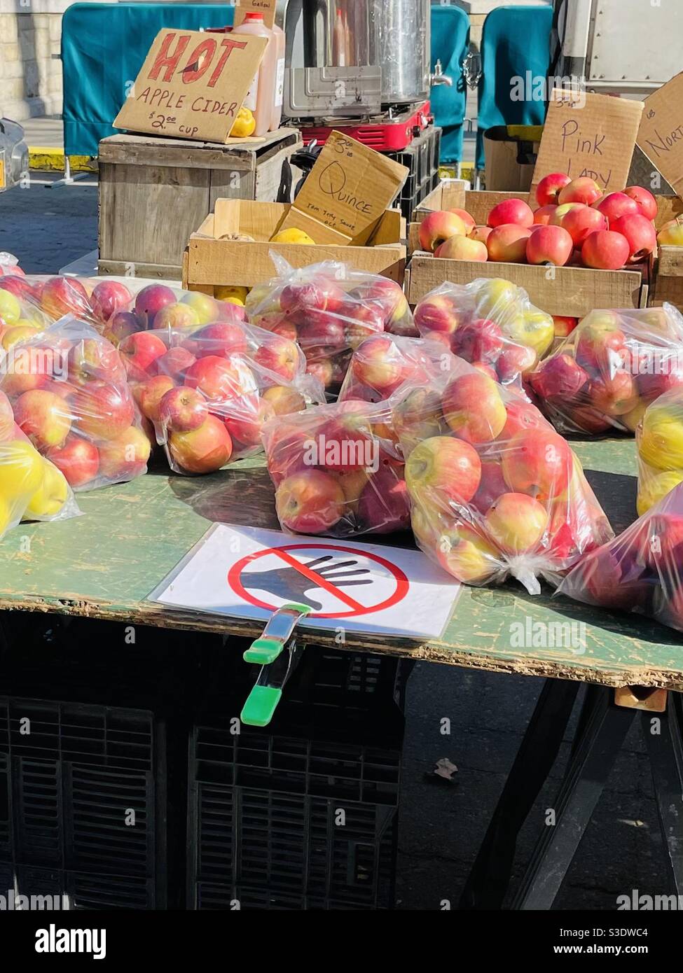 Bags of locally-grown pink Lady apples at a fruit stand in the Union Square Farmers Market, Manhattan, New York City, USA also advertising hot apple cider & fresh quince. - Smartphone Captured Stock Image