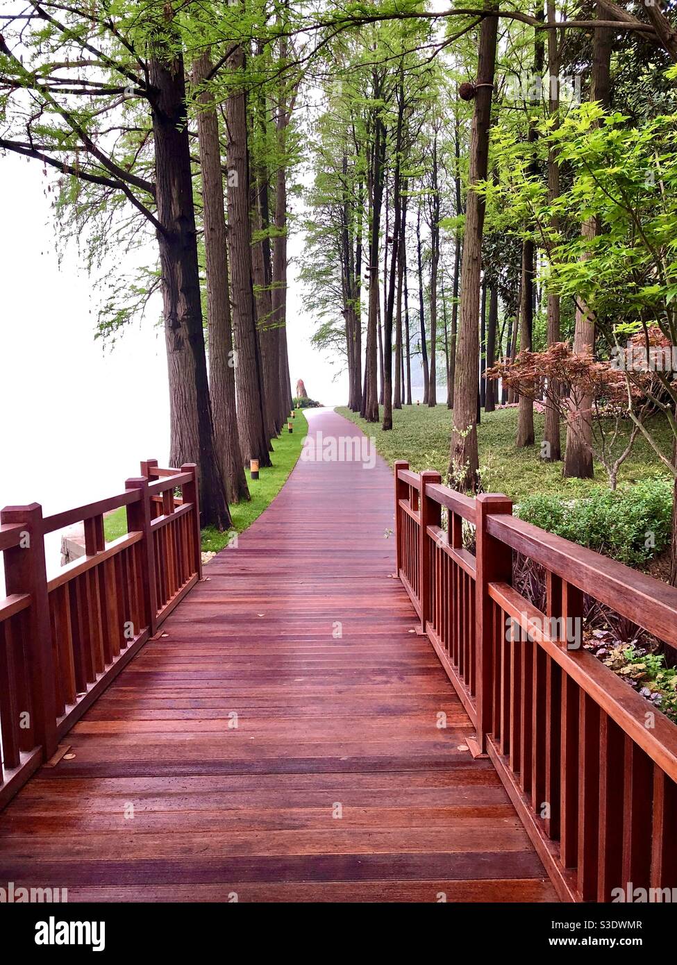 A wooden bridge and wood panelled pathway flanked by trees in Wuhan, China Stock Photo