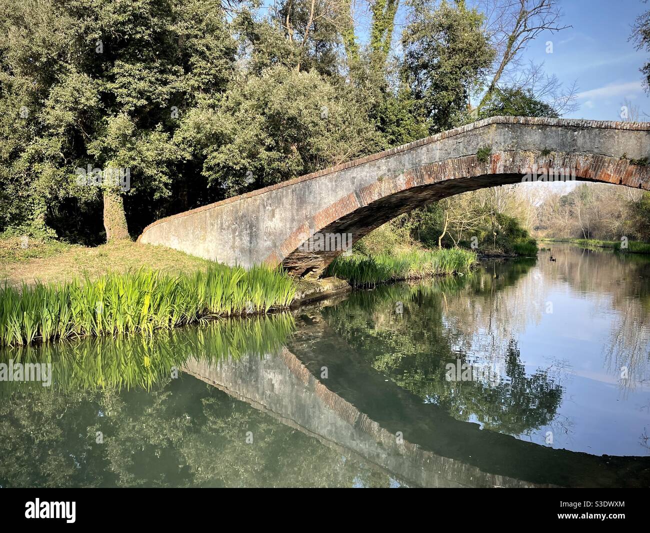 Old bridge on a stream inside Versiliana park in Marina di Pietrasanta, Lucca, Italy. Stock Photo