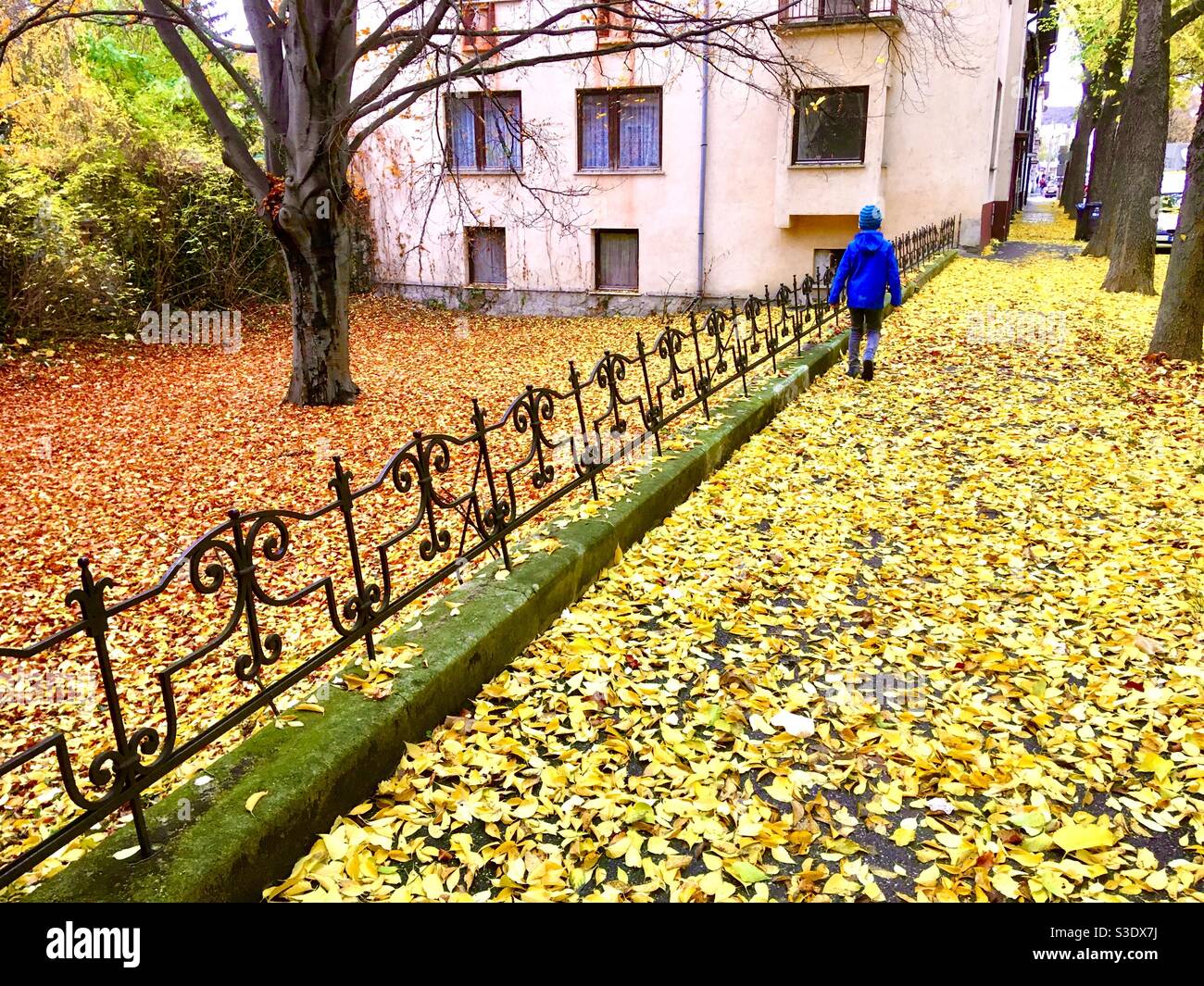 Autumn street covered with yellow leaves and child walking back view - Smartphone Captured Stock Image