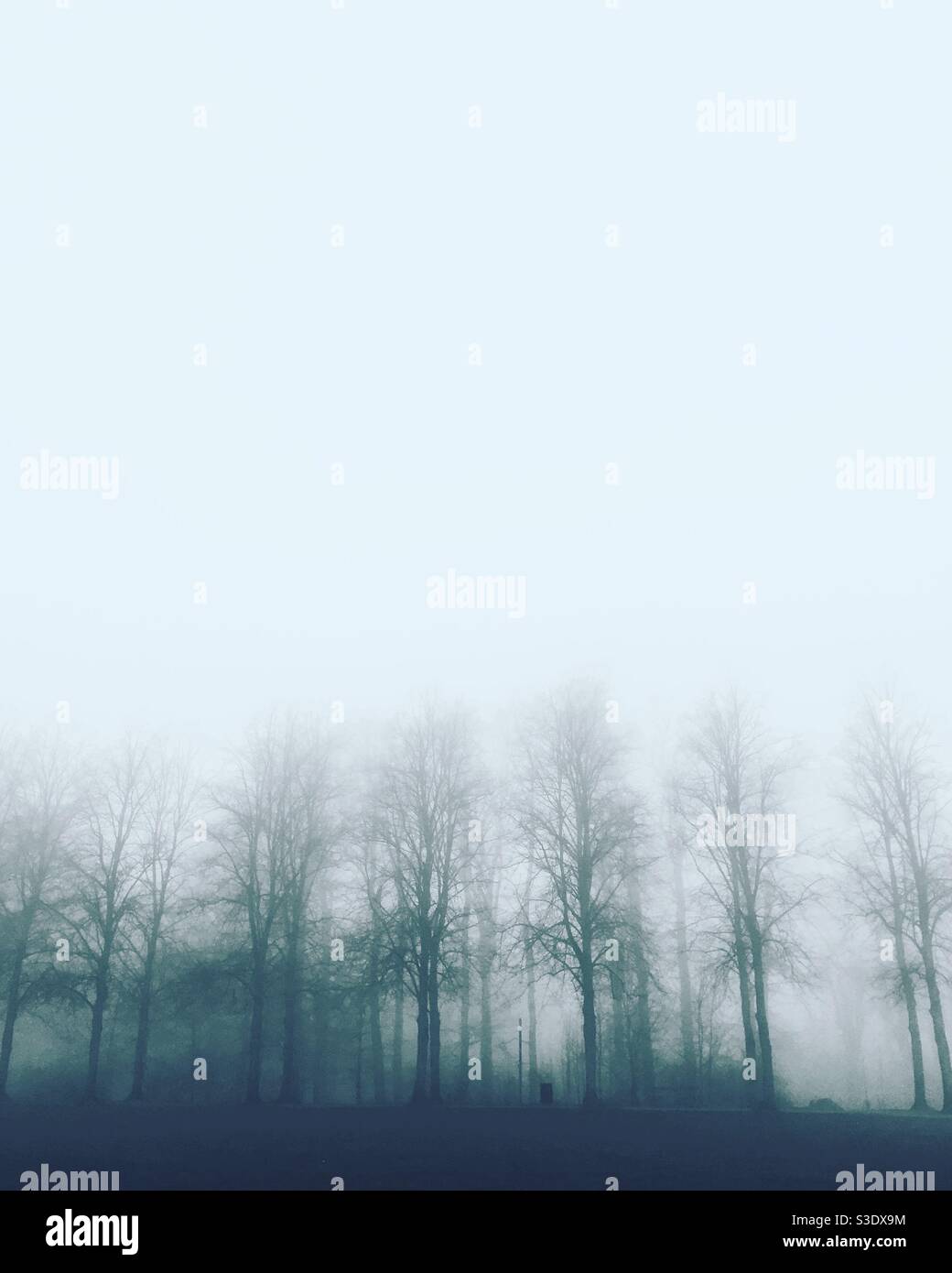 Fog trees silhouette hi-res stock photography and images - Alamy