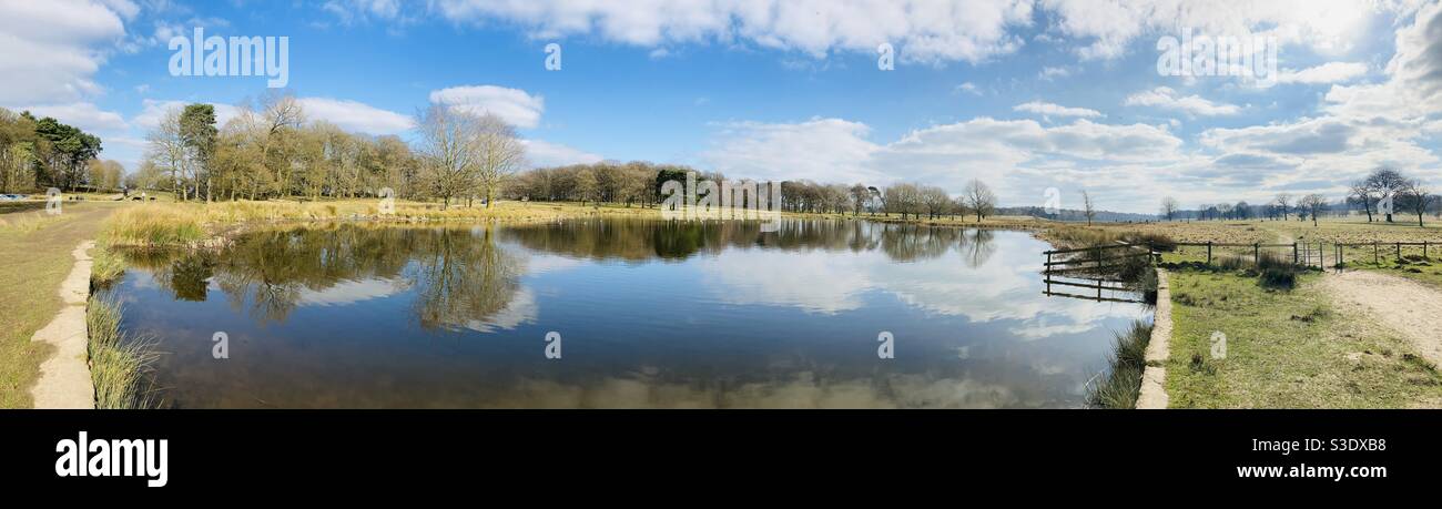 Tatton Mere, Knutsford, Cheshire ... Clouds and trees reflecting on still lake Stock Photo
