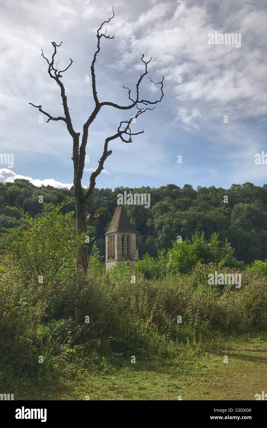 The tower of Woodchester Mansion, framed by a gnarly dead tree. Woodchester Park, near Stroud, Gloucestershire, England. Stock Photo