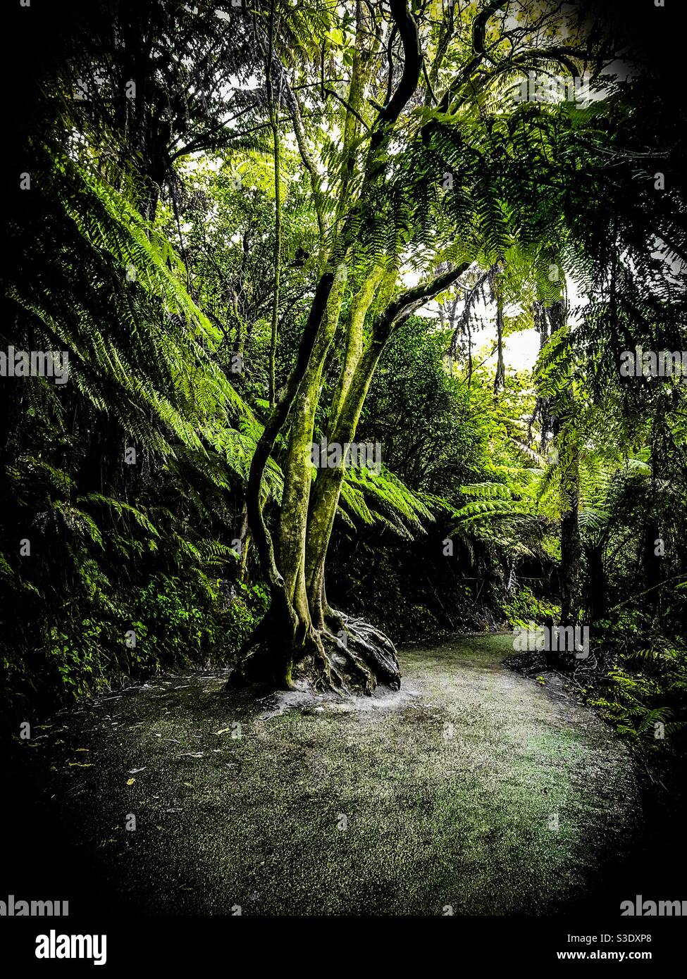 Coromandel, New Zealand Stock Photo Alamy