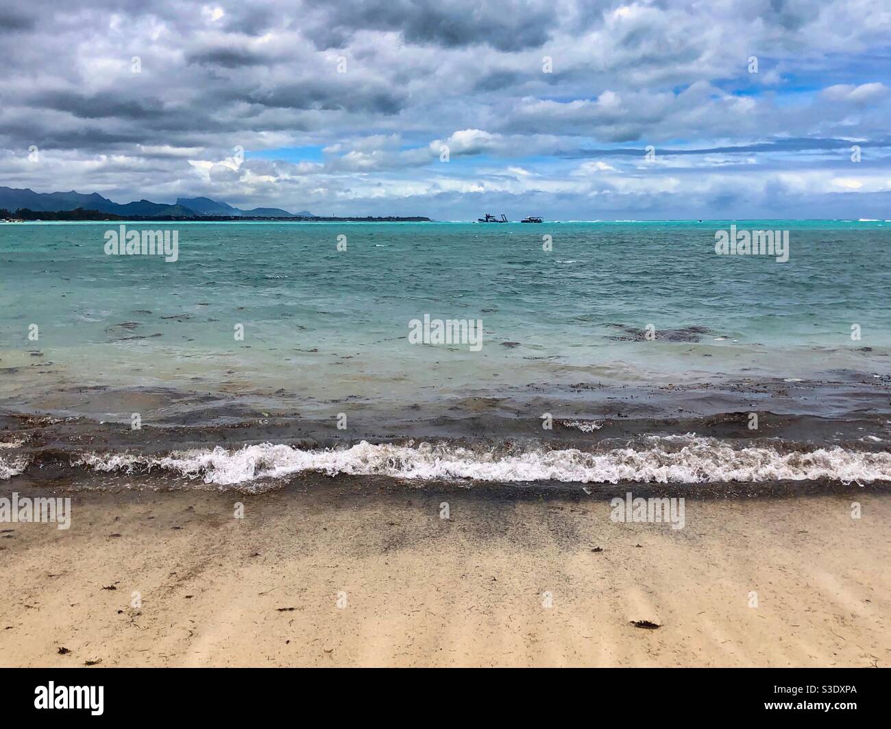 Beach with seaweed after the storm in Mont Choisy, Mauritius. - Smartphone Captured Stock Image