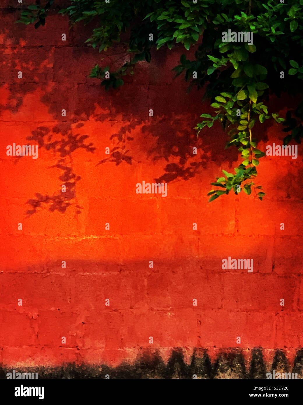 Wall - Smartphone Captured Stock Image