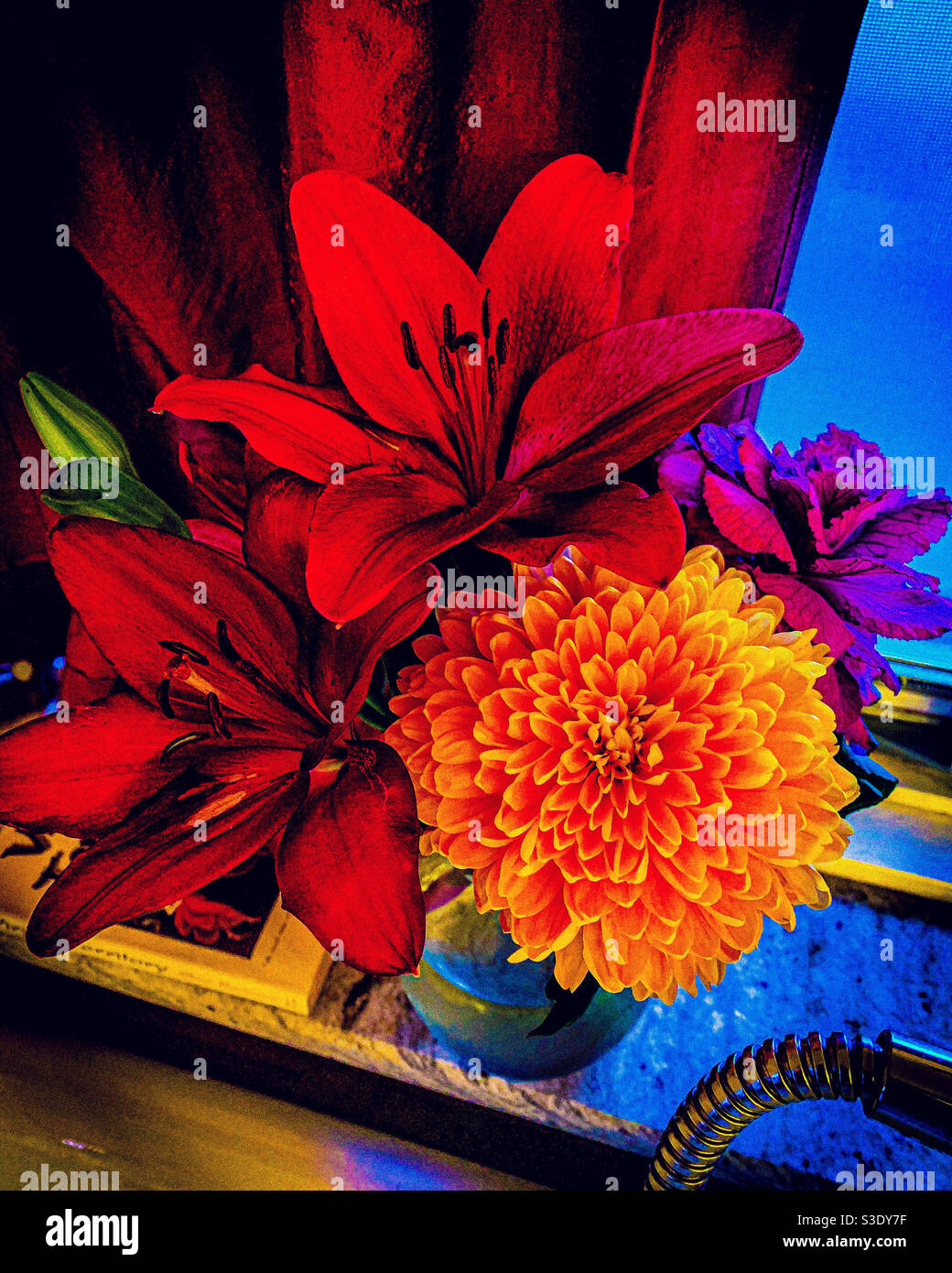 78+ Flower Background Editing Images My