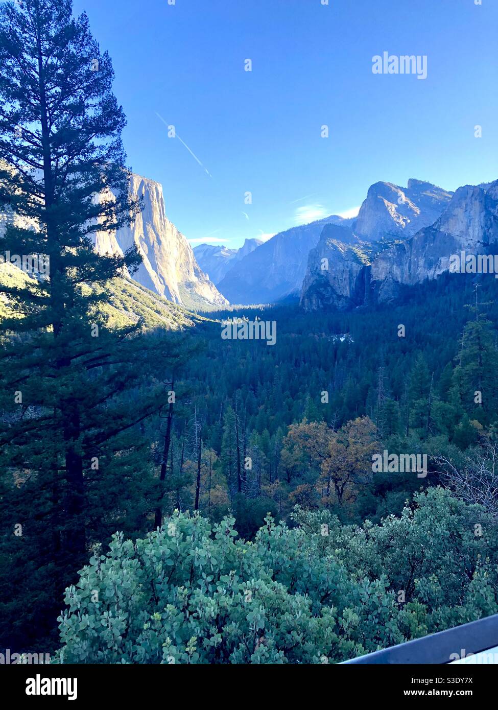 Yosemite Stock Photo