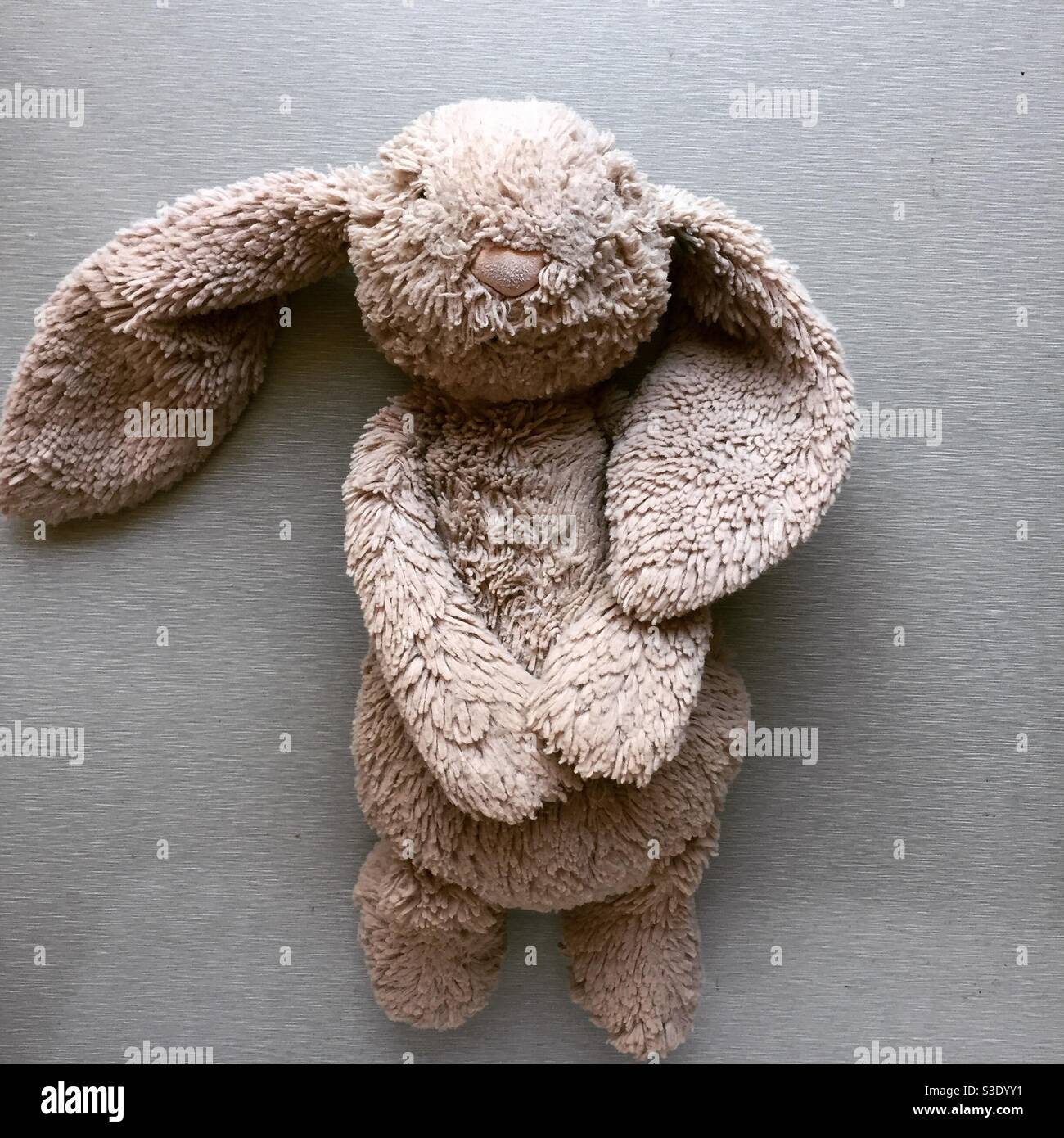 Loved teddy rabbit. Fluffy teddy bear. Grey rabbit teddy. Stock Photo