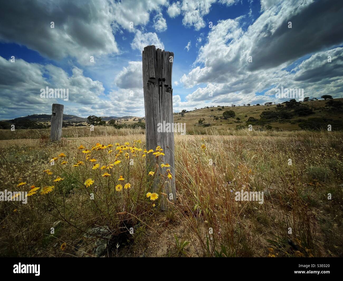 Fence post flowers hi-res stock photography and images - Alamy