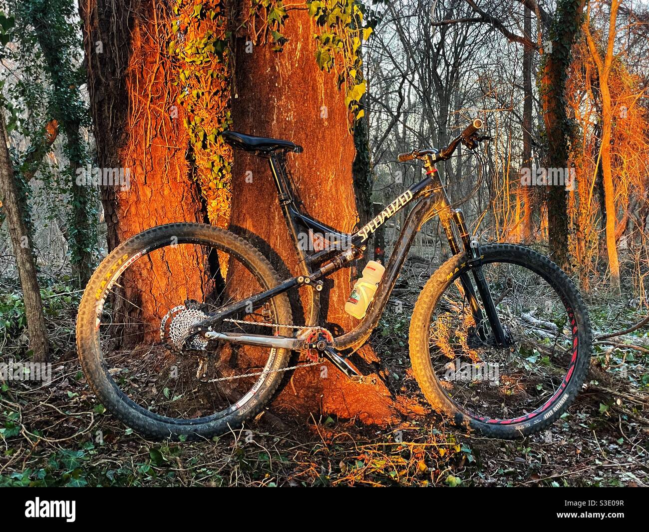 Specialized mountain bike hi-res stock photography and images - Alamy