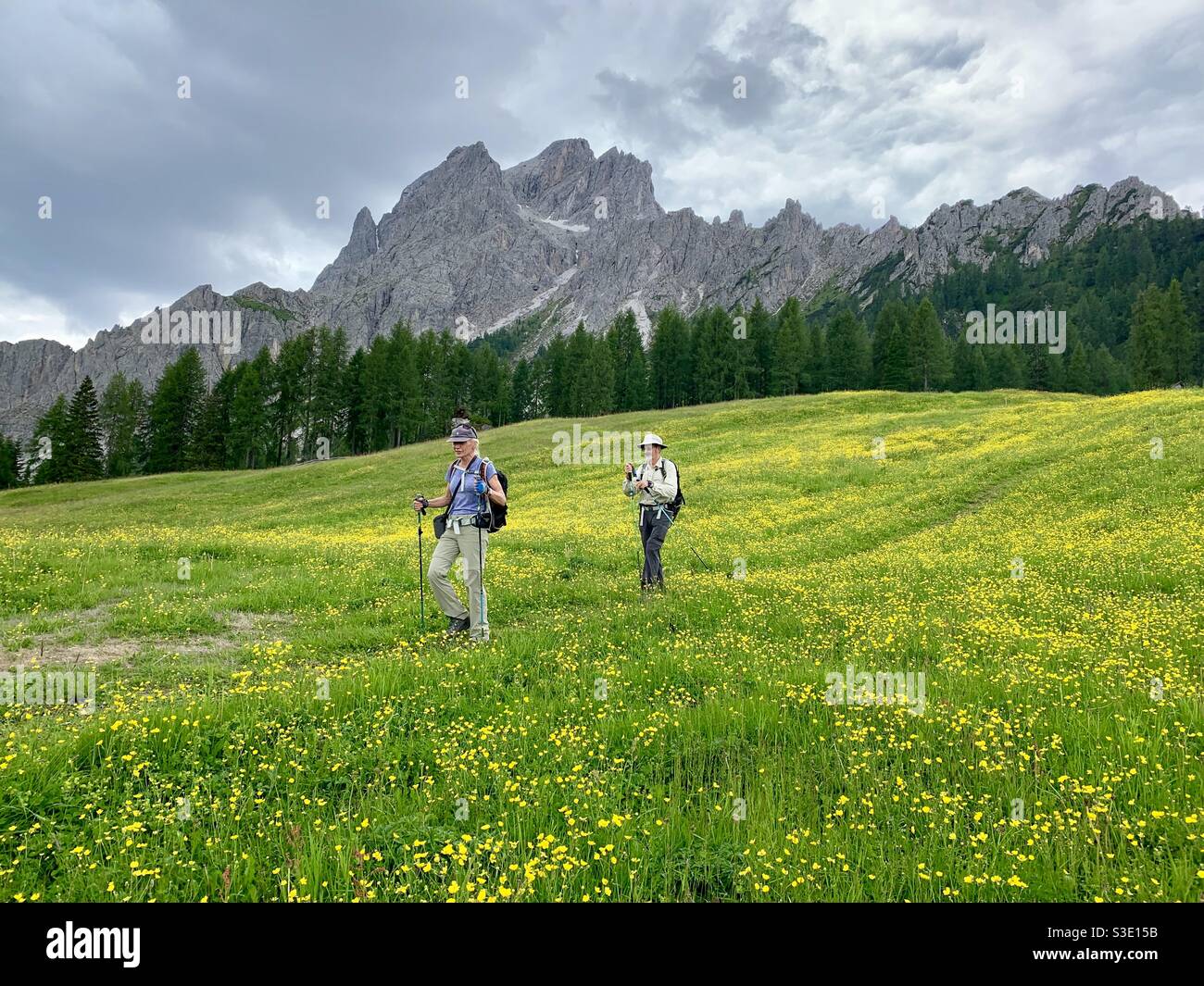 Hiking through a meadow in the Dolomites Stock Photo - Alamy