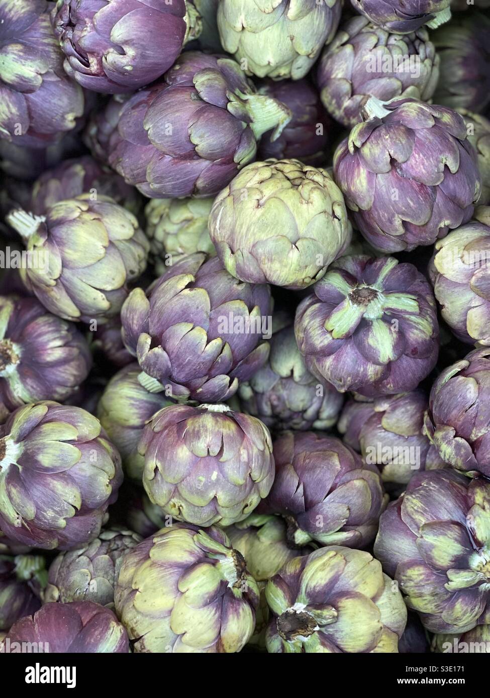 Artichokes at the vegetables market Stock Photo