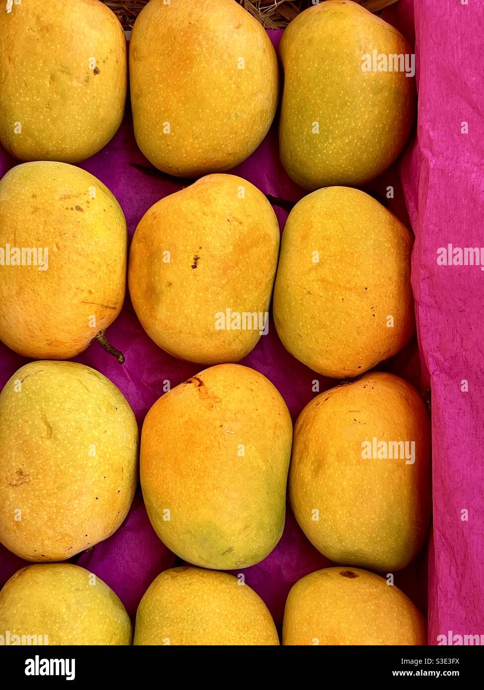 Ratnagiri mangoes hires stock photography and images Alamy