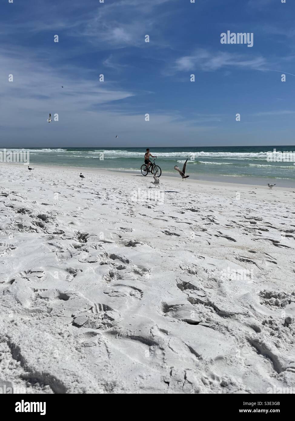 Boy riding a bike on white sand beach with seagulls flying around him Stock Photo