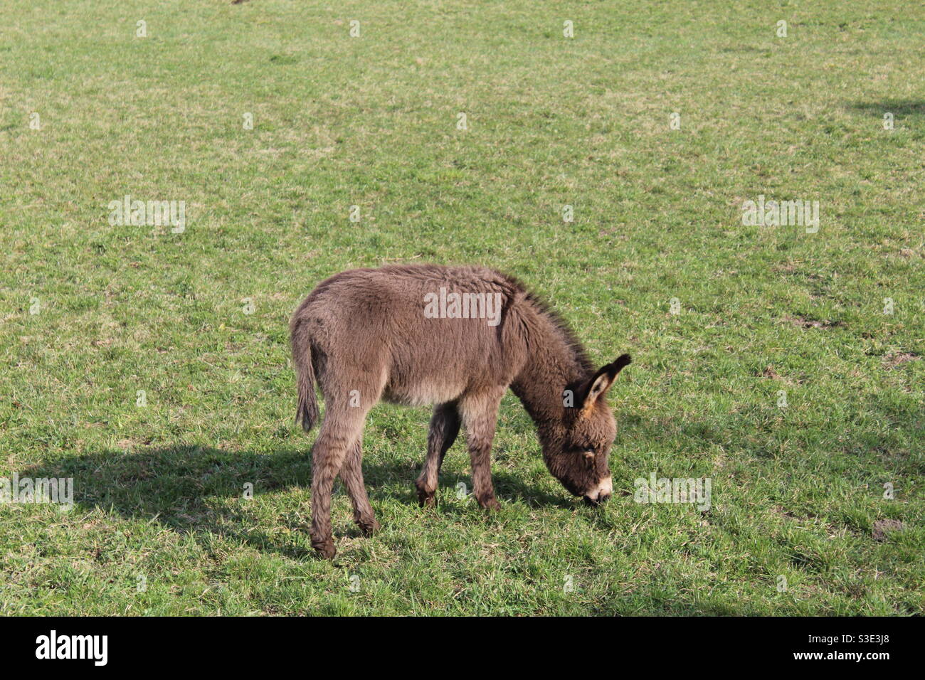 Lovenature High Resolution Stock Photography and Images - Alamy