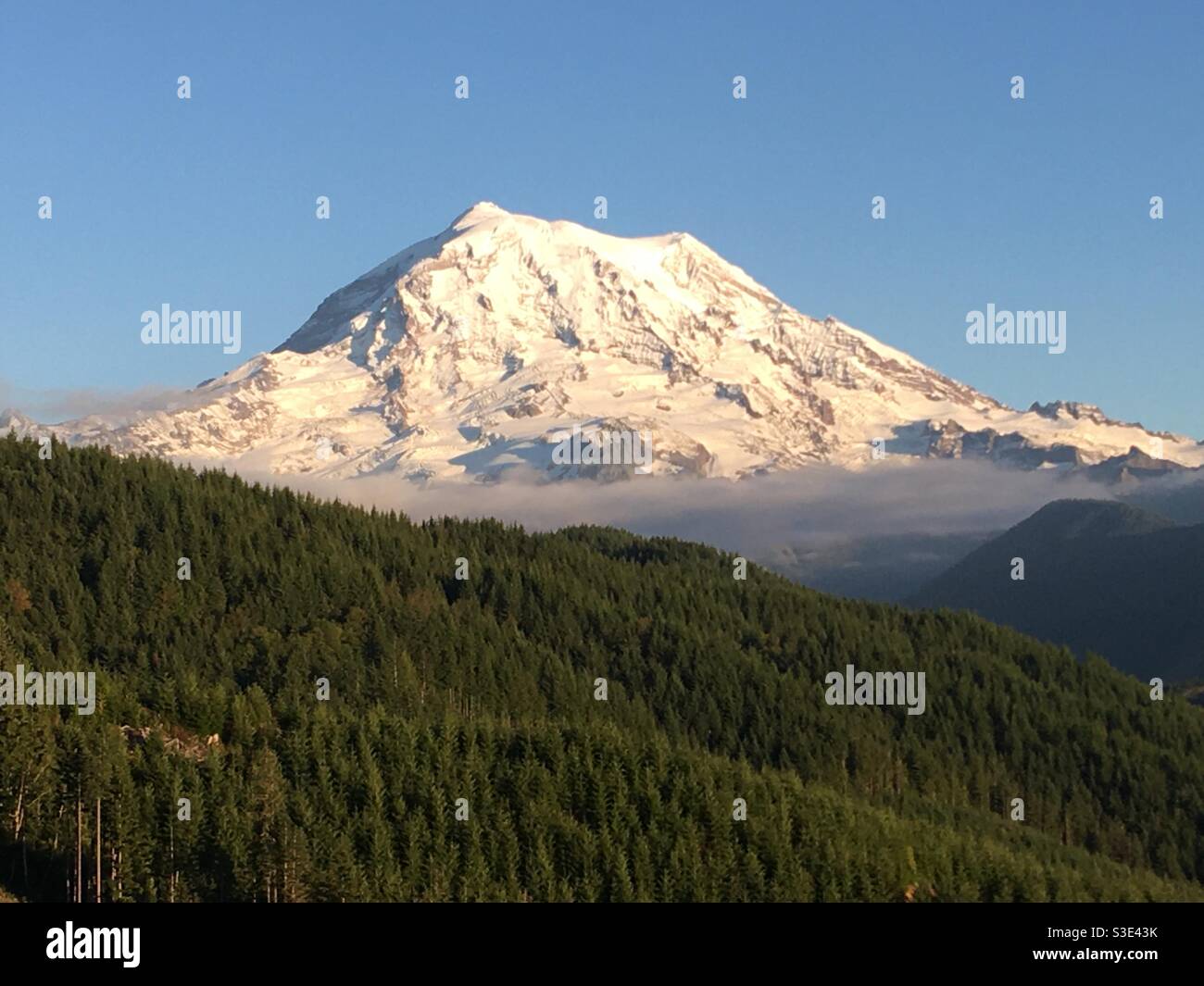 Mount Rainier National Park Washington Stock Photo