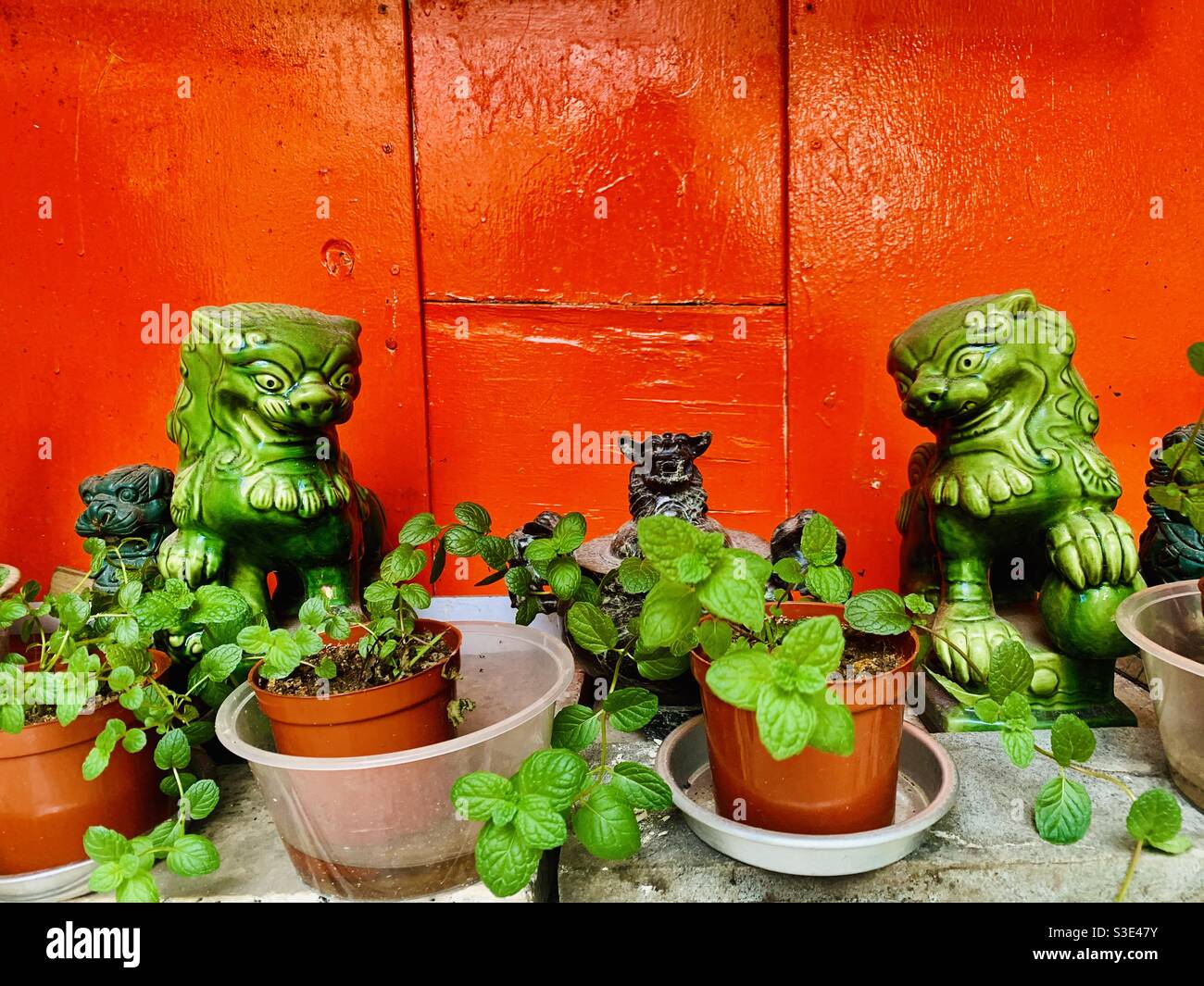 Chinese guardian lions ( Fu dogs ) outside the Hung Shing temple in Ap lei chau, Hong Kong. Stock Photo